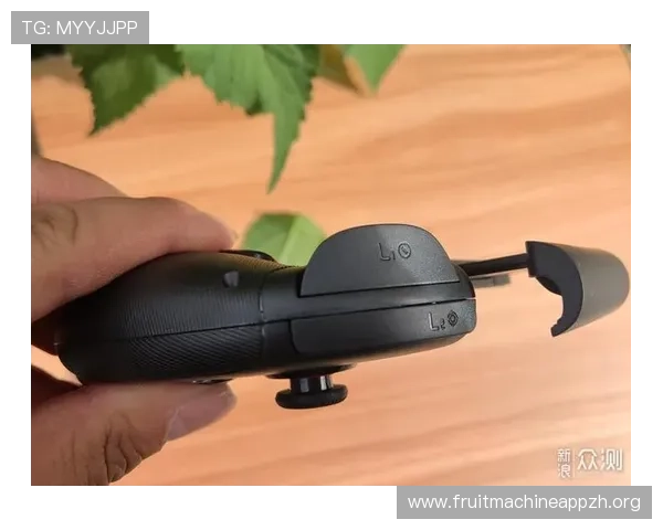 在PGO游戏中如何合理利用资源，提升整体游戏体验与效率